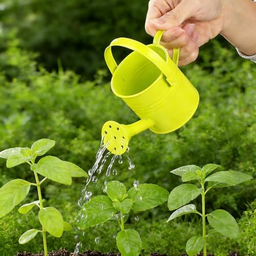 5pcs Kids Metal Watering Can Set: Mini Watering Cans for Indoor Plants - Small Metal Garden Can with Sprinkler Head for Houseplants Toddler Garden Water can Outdoor Flowers Pots Assorted - Image 6