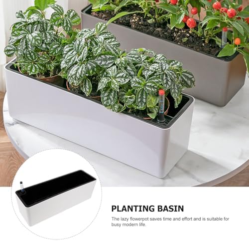 Happyyami 1set Self-Watering Flower Pot Base Automatic Indoor Planter for and Vegetables Design Water Level Indicator for Home and Balcony Gardening - Image 7
