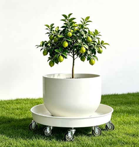 Heavy Duty Plant Caddy(430lbs Capacity), Rolling Metal Plant Stand with Brake Wheels Plant Dolly Planter Mover Plant Pot Tray Saucer for Indoor Outdoor 16 Inches White 2Pack - Image 6