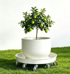 Heavy Duty Plant Caddy(430lbs Capacity), Rolling Metal Plant Stand with Brake Wheels Plant Dolly Planter Mover Plant Pot Tray Saucer for Indoor Outdoor 16 Inches White 2Pack - Image 6