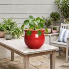 8 Inch Ceramic Self Watering Pots with Absorbent Inner Pot, Red - Image 5