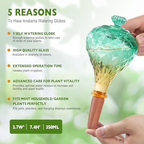 12 oz Plant Watering Globes, Green Glass Self Watering Bulbs Top Fill with Terracotta Spikes Stake, Self Watering Planter Insert Vacation Automatic Plant Waterer Device for Indoor & Outdoor 2Pack - Image 3