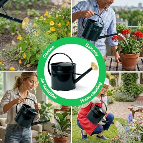 Galvanized Iron Watering Can for Indoor Plants, Oval Watering Cans for House Plant Garden Flower, Long Spout Water Can for Outdoor Watering Plants 9.46L 2.5 Gallon Gold - Image 7