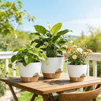 Plant Pots, 4 Pack 12/10/9/8 Inch Self Watering Pots with Drainage Holes, Water Level Indicator Deep Reservoir, Large Planters for Indoor Outdoor Plants - White Brown - Image 6