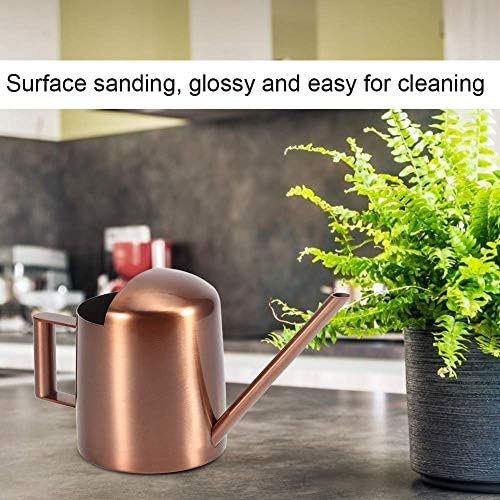 Watering Can 300ml Stainless Steel Long Spout Indoor - Image 5