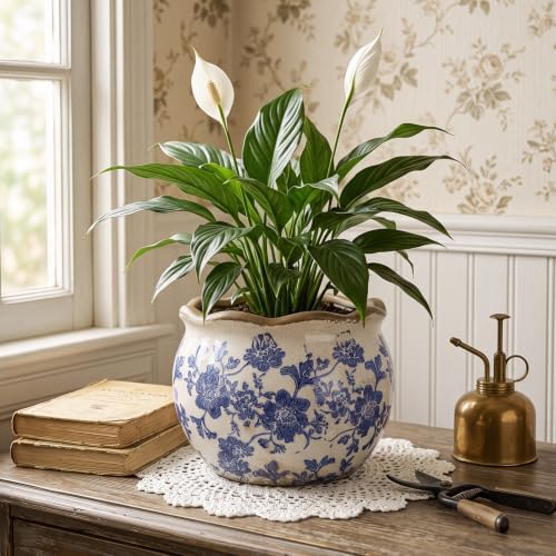 Geetery Ceramic Planter Pot 7.1 Inch Round Plant Pot,Chinoiserie,Blue,Small - Image 4
