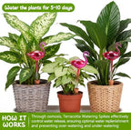 6 Pcs Non-Clogging Plant Watering Globes, Slow Release Flamingo Gradient Hot Pink Self Watering Planter Insert, Automatic Glass Waterer Bulbs for Indoor & Outdoor Plants - Image 3