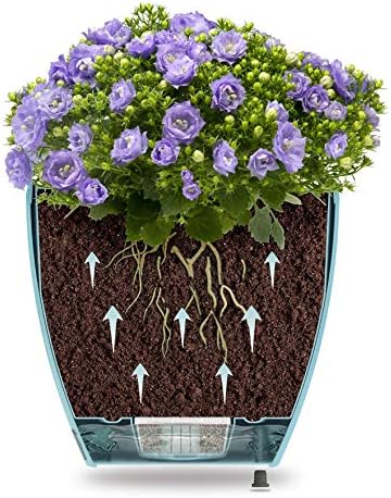 DECOPOTS - Self Watering Planter - Indoor Decorative Flower Pot with Drainage Cartridge and Water Level Indicator (Diameter 11.2", Transparent) - Image 5