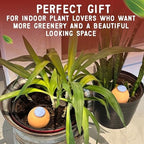 2-Pack 16 oz Terracotta Pot | Self Watering Spikes for Indoor Plant Pots - Image 5
