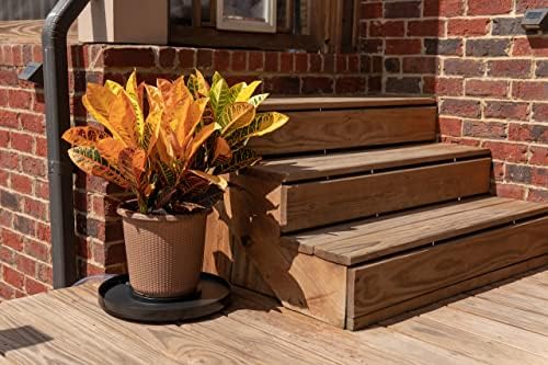 Drain Away Grey 15.5 Inch Plant Saucer Heavy Duty Drain Tray for Large Pots Indoor Outdoor Waterproof UV Resistant | Protect Floors Decks | 12in 15in 22in | White Gray Terra Cotta Black - Image 5