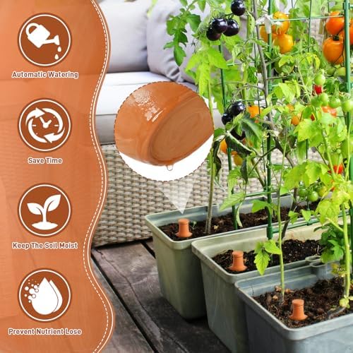 2 Pcs Large Terracotta Watering Pots 50 oz Ollas Self-Watering Pots Terracotta Watering Globes with Lid Plant Irrigation System for Indoor Outdoor Plants Raised Beds Garden - Image 4