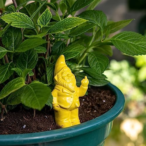 Fisura Original Self Watering Plant Pot - Automatic Watering Gnome Shape - Watering for Indoor Plants with 100ml Capacity - Material: Terracotta (Yellow) - Image 4