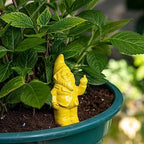 Fisura Original Self Watering Plant Pot - Automatic Watering Gnome Shape - Watering for Indoor Plants with 100ml Capacity - Material: Terracotta (Yellow) - Image 4