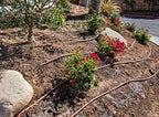 DIG Corporation PC Dripline, 100' Brown, 12" Spacing, 17 mm.6 GPH, with Check Valve - Image 3