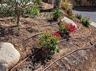 DIG Corporation PC Dripline, 100' Brown, 12" Spacing, 17 mm.6 GPH, with Check Valve - Image 3