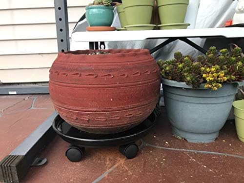 Plant Caddy with Wheels 15.5 Inch, 2 Pack Heavy Duty Plant Dolly Tray, Round Planter Caddies for Indoor & Outdoor Use, White - Image 6
