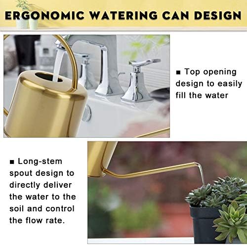 Remiawy Watering Can Indoor Outdoor Stainless Steel Watering Cans for House Plants Long Spout Water Can for Succulent Bonsai Garden Flower(40oz/1300ml) - Image 3