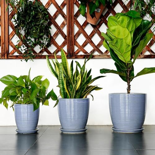 EEPFamily 8 Inch Plant Pot- Ceramic Planter for Indoor Outdoor with Drainage Hole and Plant Tray, Modern Round Porch Home Office Garden Living Room Decor, House Warming Gifts, Blue-Purple - Image 7