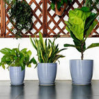 EEPFamily 8 Inch Plant Pot- Ceramic Planter for Indoor Outdoor with Drainage Hole and Plant Tray, Modern Round Porch Home Office Garden Living Room Decor, House Warming Gifts, Blue-Purple - Image 7