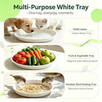 TITE 3 Pack Plant Saucer Heavy Duty Sturdy Drip Trays for Indoor and Outdoor (16 Inch, White) - Image 5