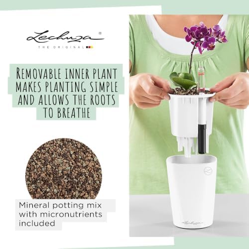 Lechuza MINI-DELTINI Cream White High Gloss, Self-Watering Small Indoor Planter, H5.1 L3.9 W3.9, 0.4L in - Image 6