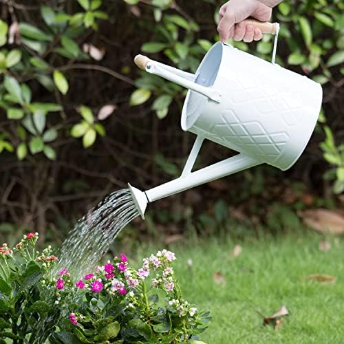 1 Gallon White Metal Watering Can with Wooden Handles - Image 3