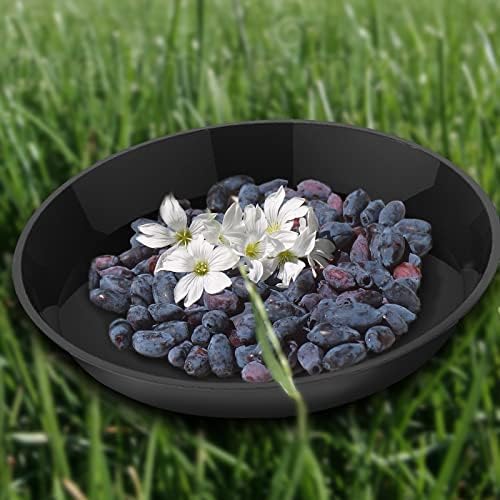 6 Pack Plant Saucer 12 14 16 18 20 22 Inch Plastic Plant Tray, Sturdy and Durable Flower Pot Container Accessories Plant Pot Saucers for Indoor and Outdoor (16 Inch, Black) - Image 4