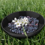 6 Pack Plant Saucer 12 14 16 18 20 22 Inch Plastic Plant Tray, Sturdy and Durable Flower Pot Container Accessories Plant Pot Saucers for Indoor and Outdoor (16 Inch, Black) - Image 4