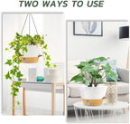 ZMTECH Large 12Inch Self Watering Hanging Planter, Water Window & Chain - Image 7