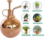 Plant Mister Spray Bottle Stainless Steel Plant Sprayer, Small Watering can Plant Spray Bottle Modern Gardening Tools for Indoor Potted Plants Watering and Spraying - Image 6