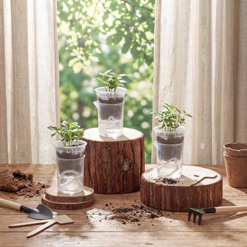 30 Pcak 2.2'' Small Self Watering Planters for Indoor Plants Mini Clear Pots with Water Level Indicator Plastic Automatic-Watering Pot with Drainage Holes for Semi-hydroponic African Violet - Image 6