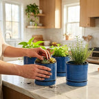 HASENSE Ceramic Indoor Plant Pots, 4.6 Inch Small Flower Planters with Drainage Hole and Saucer, Vintage Reactive Glaze Blue Pots for Succulents, Cactus, Herbs, Home Decor, Set of 4 - Image 5