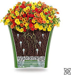 Santino 8.6 Inch ARTE Self Watering Planters (Set of 3) in Transparent Indoor Flower Pot for All House Plants, Flowers and Orchids - Image 4