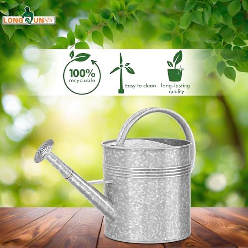 Galvanized Iron Watering Can for Indoor Plants, Oval Watering Cans for House Plant Garden Flower, Long Spout Water Can for Outdoor Watering Plants 9.46L 2.5 Gallon - Image 6
