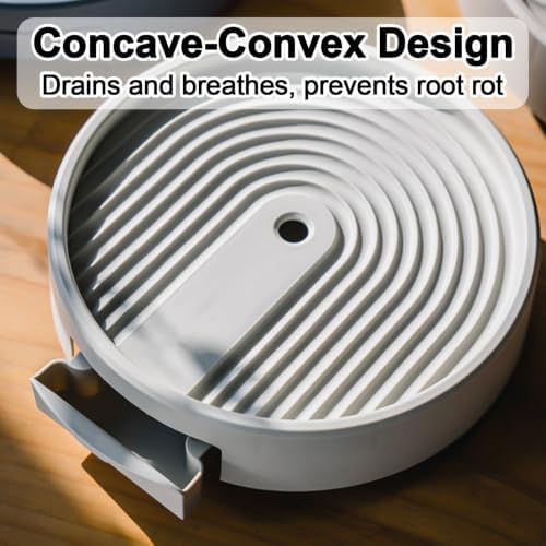 Bottom Watering Tray, Plastic Plant Trays with Wheels, 2 Pcs - Image 6