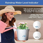 King's Gardening Clever Pot - Self Watering Pot for Indoor Outdoor Use, Animated Cloud Water Level Indicator, UV Resistant Planter, Ideal for Flowers, African Violets, and More 8" (Pearl Cloud) - Image 3