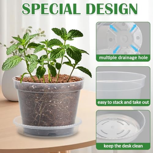 12 Pack 7 Inch Clear Nursery Pots with Saucer, Transparent Plastic Plant Pots with Drainage Holes, Sturdy Plant Starter Pots, Planter Pot for Planting Succulent Flower Herb Vegetable, Gardening Gifts - Image 3
