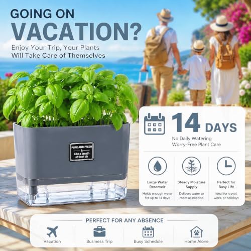 Self Watering Planters 4 Pack, 7 Inch Rectangle Plant Pots with Visible Water Reservoir, Indoor Outdoor Herb Planter Boxes for Windowsill，African Violets，Succulents，Flowers，Kitchen，Office，Balcony Gray - Image 5