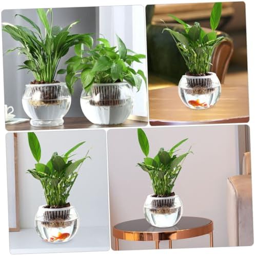 BESTonZON Hydroponic Glass Vase Set 20pcs Round Globe Glass Flower Container Decorative Planter Pots for Indoor Plant Propagation and Home Table Centerpiece - Image 4