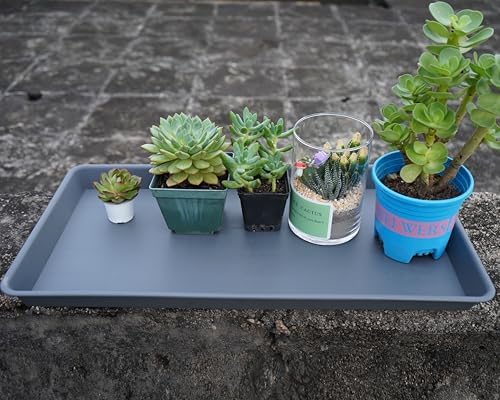 VUWEZ 2 Pack Plant Growing Nursery 1020 Trays, Plant Saucer Tray, Heavy Sturdy Seed Starting Trays, Plant Starter Trays for Indoors No Holes, Seed Starter Growing Tray (22"x11.2", Gray) - Image 7