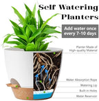 Plant Pots,12+10+9 Inch Self Watering Pots with Drainage Hole for Indoor Plants Large Flower Pot, Plants Pots Indoor Outdoor,Modern White Plastic Planters for Indoor Plants - Image 4