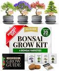 HOME GROWN Bonsai Tree Starter Kit, 4 Varieties, Indoor Gardening Gift Set by HOMEGROWN