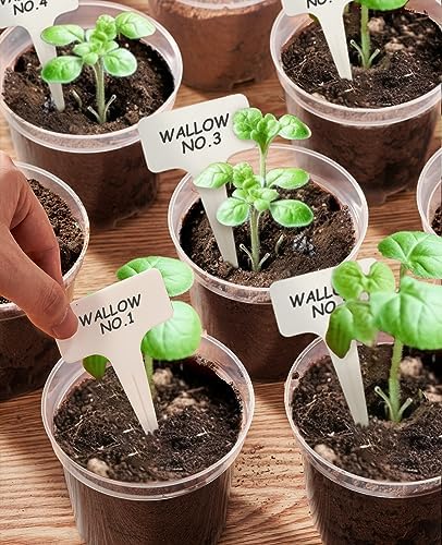 homenote 6.7 Inch Clear Plastic Nursery Pots with Drainage Holes (15 Pcs) - Image 5