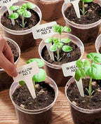 homenote 6.7 Inch Clear Plastic Nursery Pots with Drainage Holes (15 Pcs) - Image 5