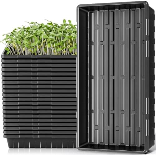 ZJP 20 Pack Extra Thick 1020 Heavy Duty Seed Starter Trays - No Holes, Reusable, 2.44 in Deep, Plastic Plant Growing Trays for Seedlings, Microgreens,and Propagation Sprouting in Garden, Greenhouse by Unknown