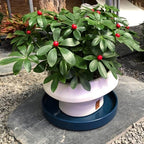 Blue Ceramic Pot Saucer - Drainage Tray for Indoor and Outdoor Flower Plant Pots and Planters, 12 Inch - Image 4