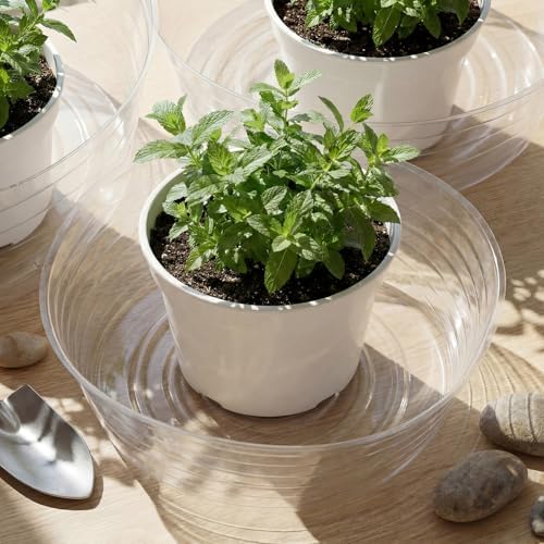 Hoolerry 15 Pcs Plastic Plant Saucer Clear Deep Tray, 10, 12, 14 Inch - Image 5