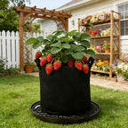 8 Pack 16 inch Self Watering Base for Fabric Grow Bag, Self-watering Plastic Elevated Plant Saucer Stand, Automatic Watering Tray for Non-woven Planter Flower Pot Growth Tent Greenhouse Indoor Outdoor - Image 5