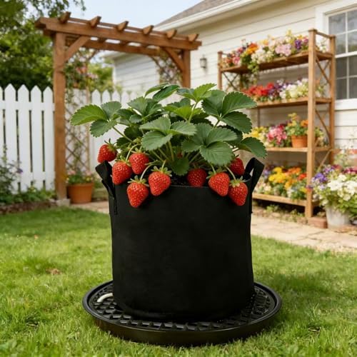 8 Pack 16 inch Self Watering Base for Fabric Grow Bag, Self-watering Plastic Elevated Plant Saucer Stand, Automatic Watering Tray for Non-woven Planter Flower Pot Growth Tent Greenhouse Indoor Outdoor - Image 5