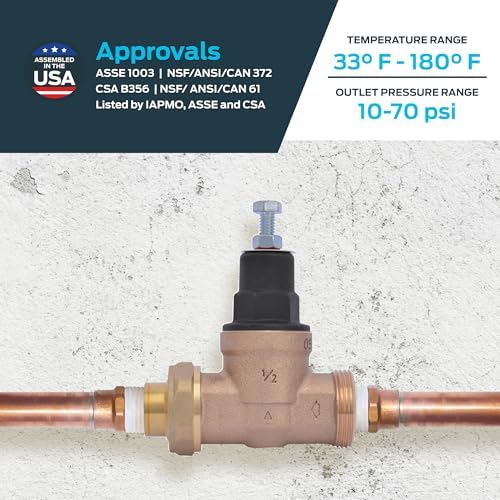 Cash Acme EB45 Pressure Regulating Valve, Single Union, 1/2 Inch NPT Female x NPT Female, Poly Top, 45 PSI, 23882-0045 - Image 4